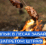 В лес – без огня! - Дульдургинский район